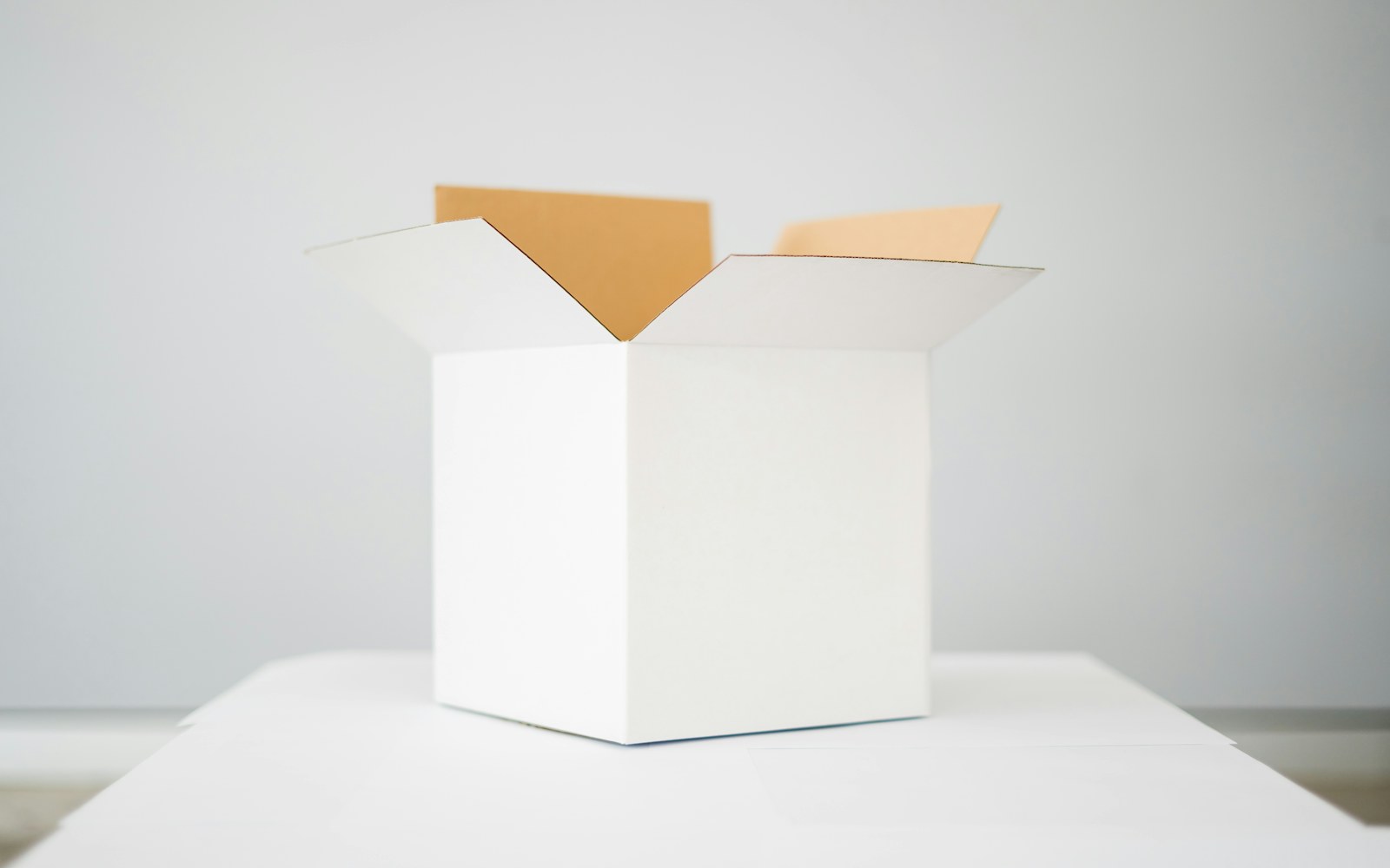 A carefully packed handmade art doll resting in a tissue-lined box with shaped supports around its limbs and head.