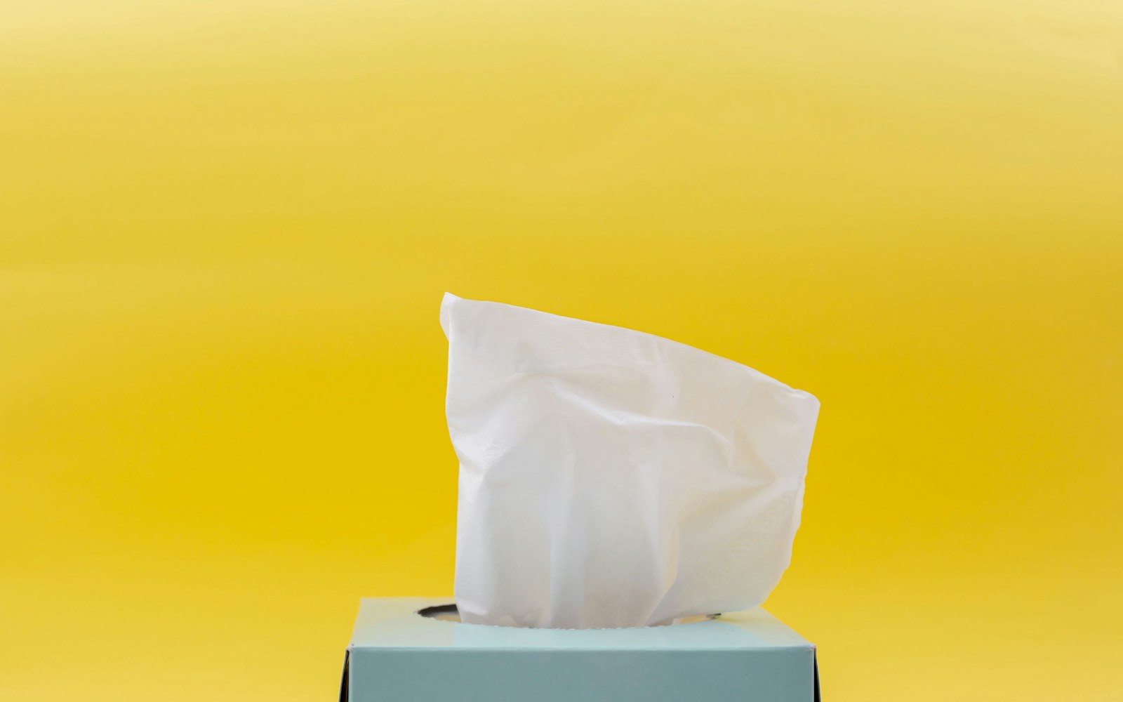 A small needle-felted animal art doll resting in a tissue-lined rigid box with soft cushioning arranged around its body.