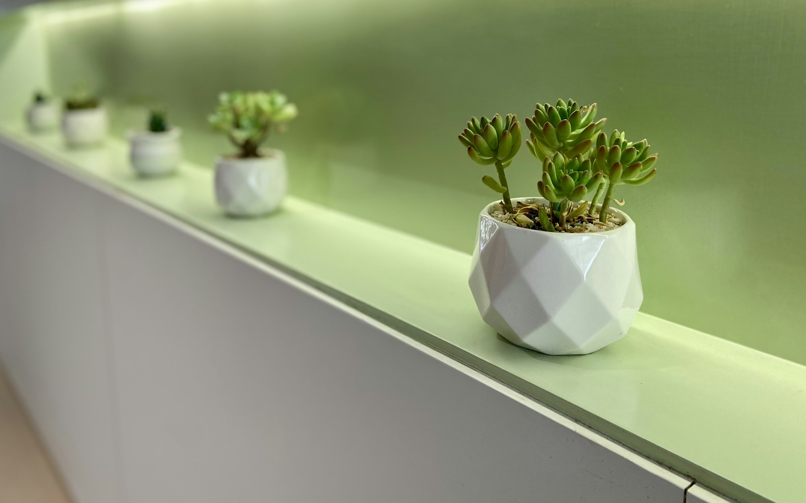 A softly lit shelf of handmade art dolls in a glass display case, with indirect LED lighting positioned above and beside the collection.