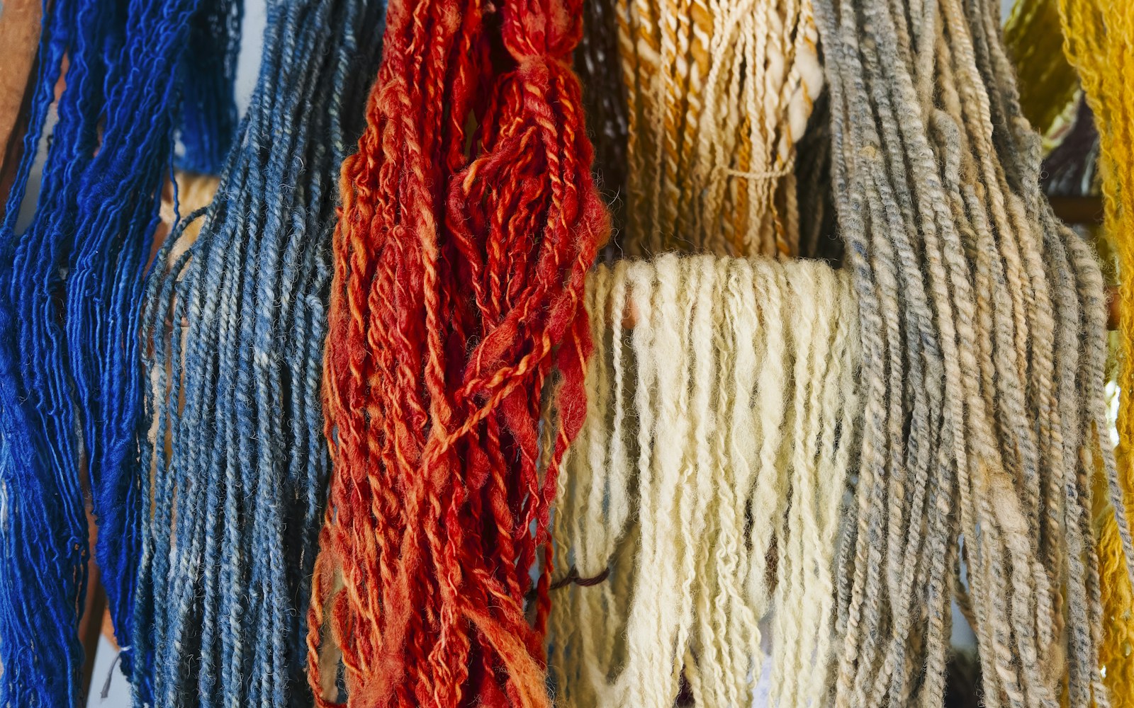Needle felting artist testing plant-dyed wool samples with white fabric and natural window light.